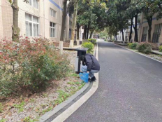 1615188505287001402.png image.png