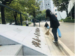 1615188560536024367.png image.png