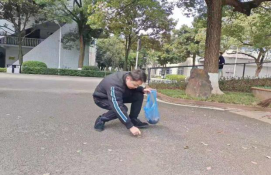 1615188680447029857.png image.png