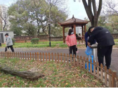 1615188693017026280.png image.png